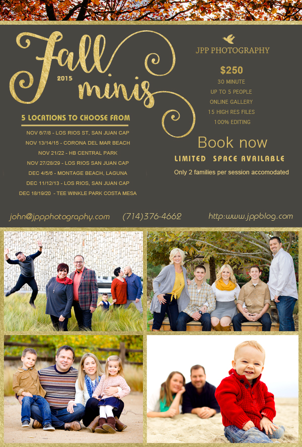 Christmas Holiday Photos flyer offer 